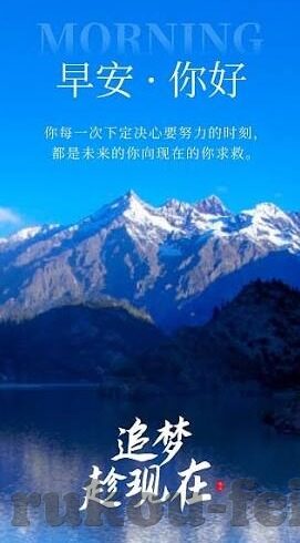 即时比分比分直播足球网-即时比分直播，足球迷的数字战场与情感共振场
