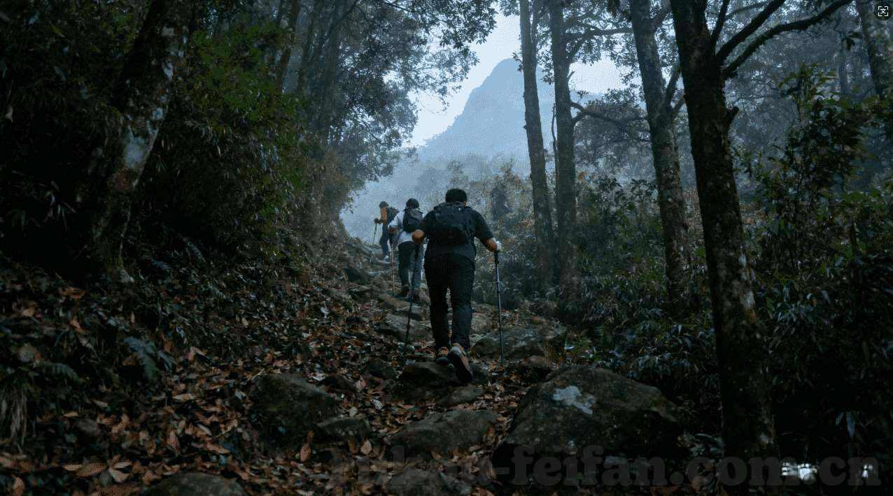 网上买世界杯彩票风险-网上买世界杯彩票的风险与应对